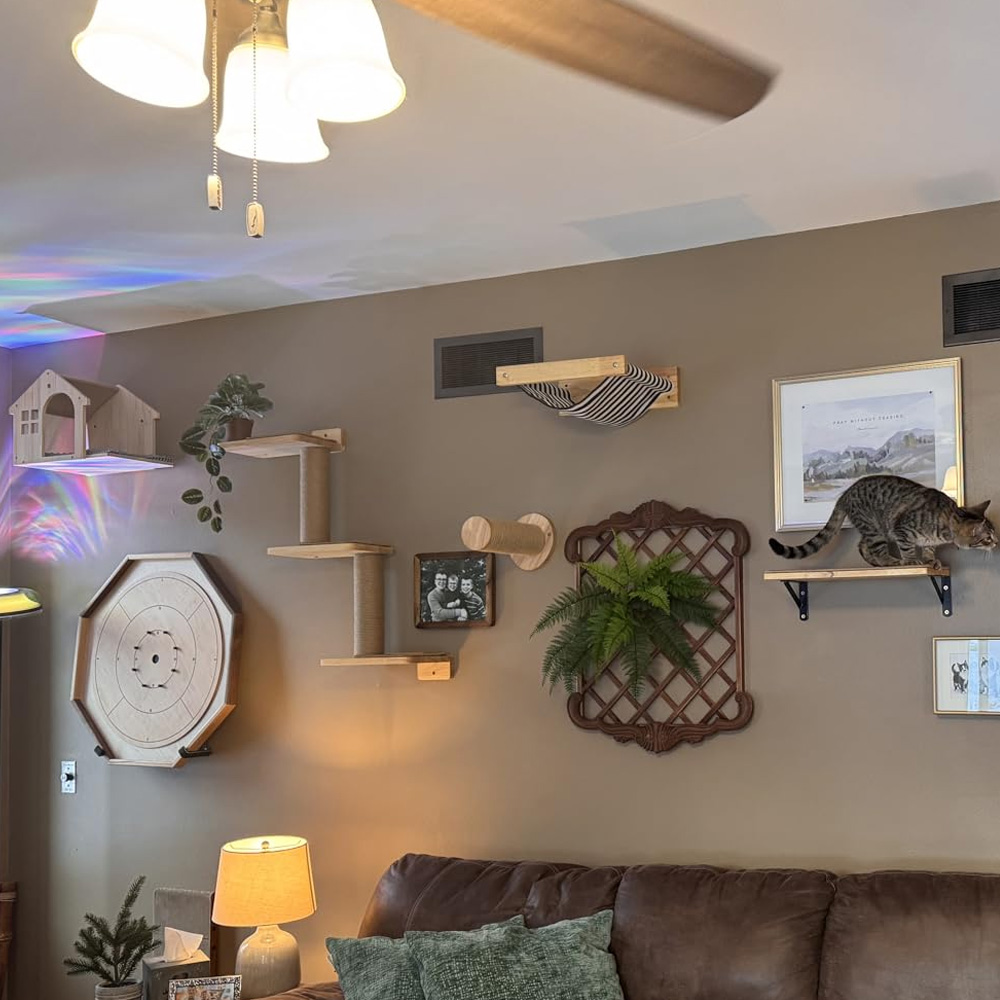 Furniture Paradise & Hardware Ghaziabad - Móveis para Gatos: Ponte Suspensa de